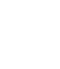Rupee icon